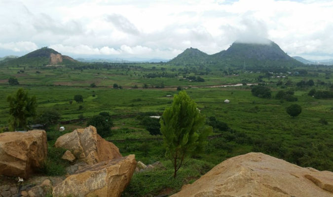 Showcasing the economic city and benefits