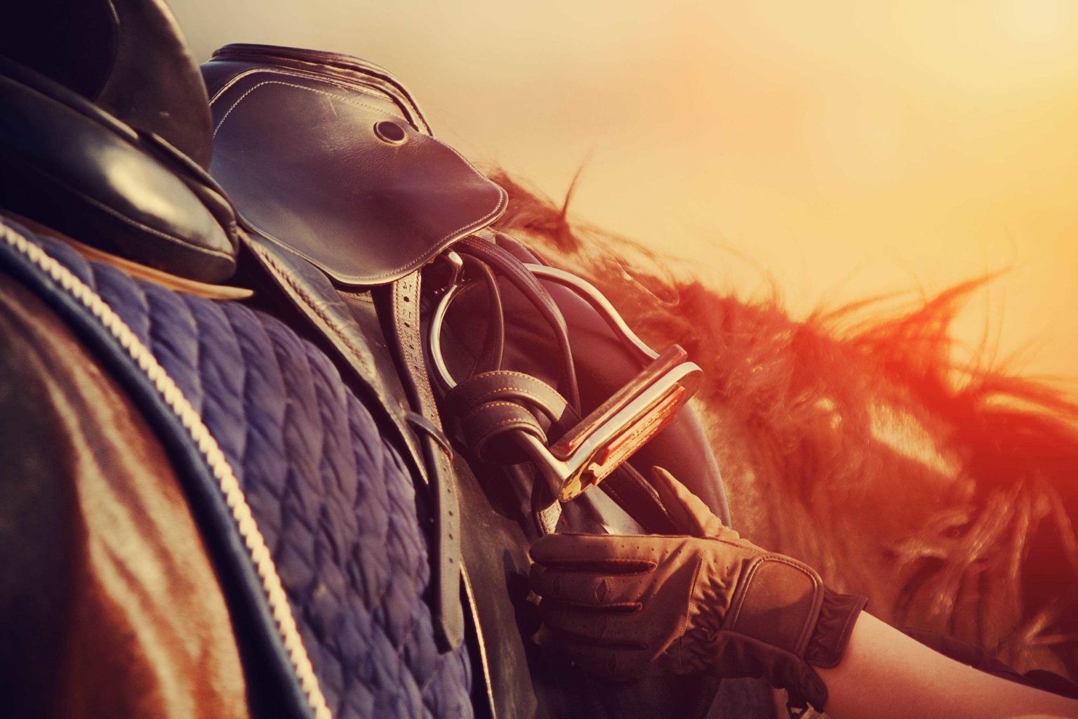 Showcasing the economic city and benefits