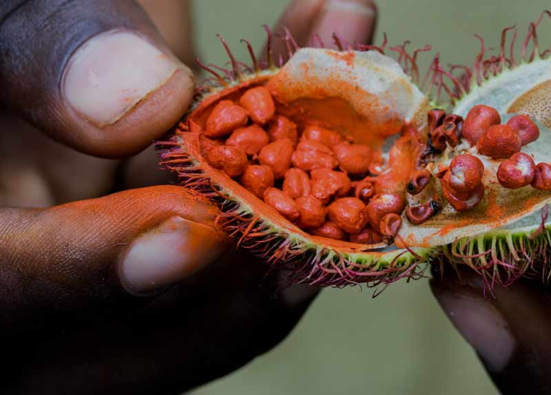 Centenary City Abuja