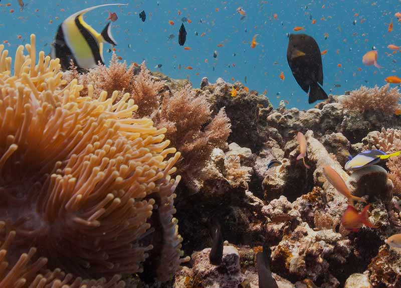 Centenary City Abuja